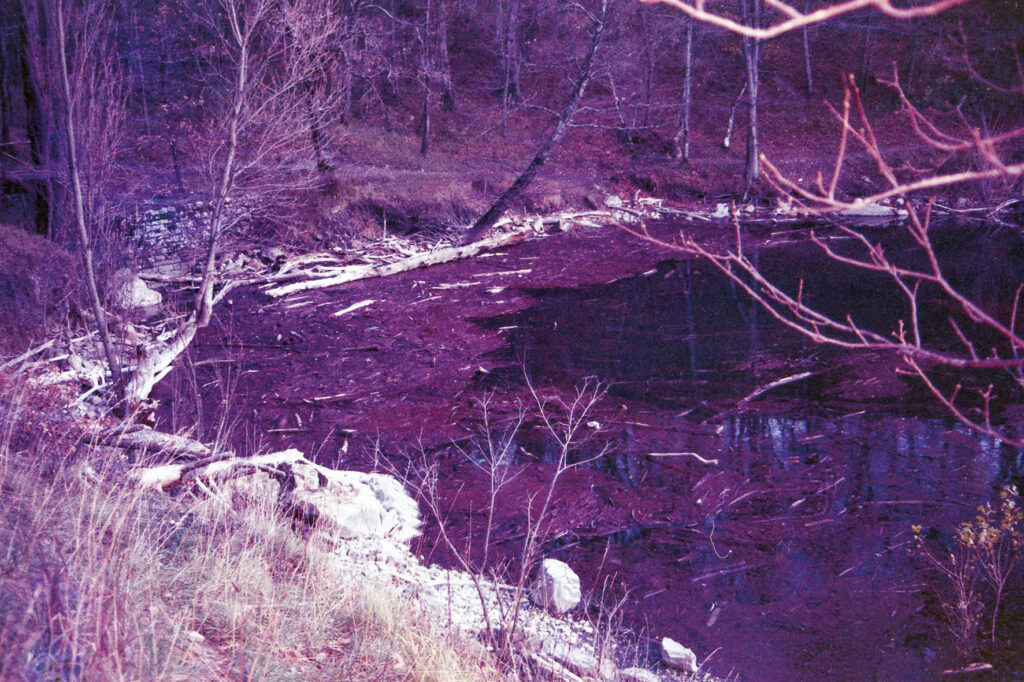 Rullini scaduti